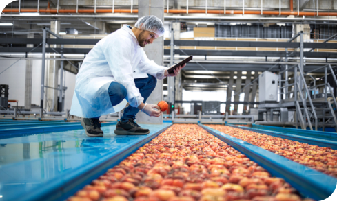 Food Quality Controller